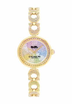 Coach ساعة كوتش كوارتز ستانلس ستيل للنساء 14504220