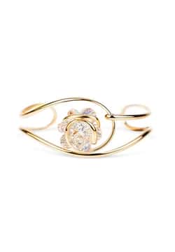 Andrea Marazzini سوار الظل الذهبي من نينفيا