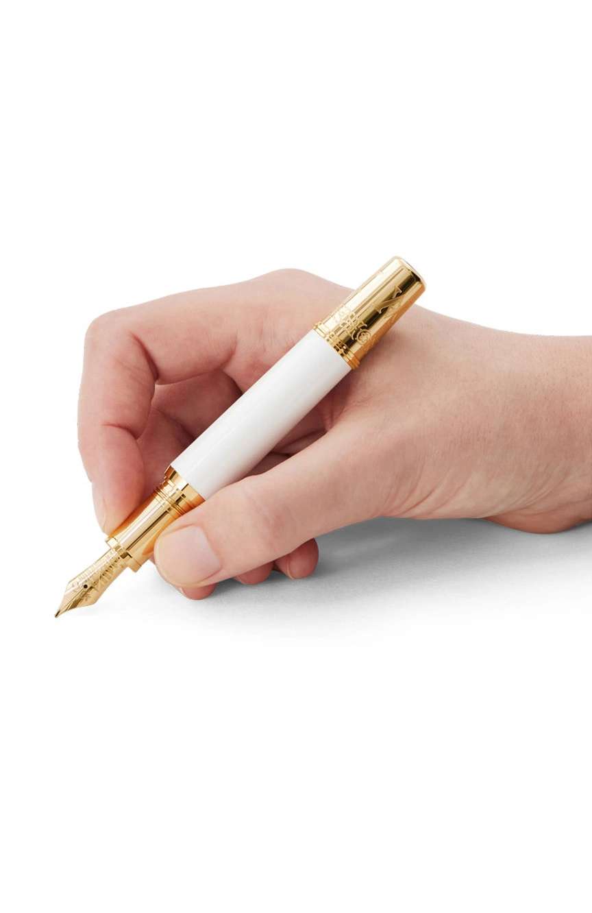 Montblanc Patron Of Art Homage To Albert Limited Edition 4810 Fountain Pen