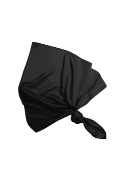 Bergeon Black Microfiber