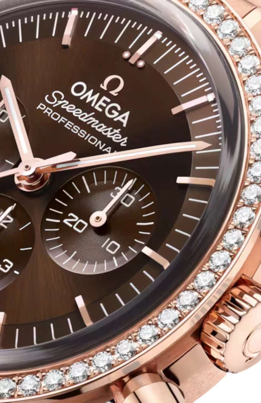 OMEGA Moonwatch Professional