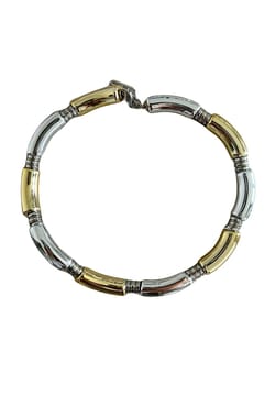 Colette Market Big tube two tone necklace