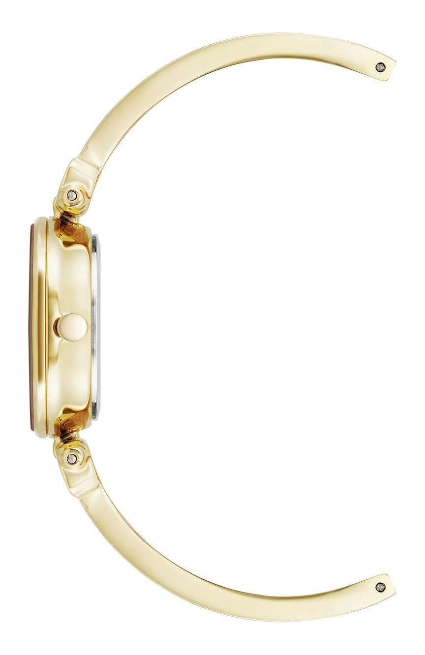 آن كلاين ساعة أنالوج من آن كلاين للنساء