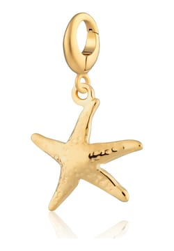 Lily Charmed Gold Plated Starfish Charm