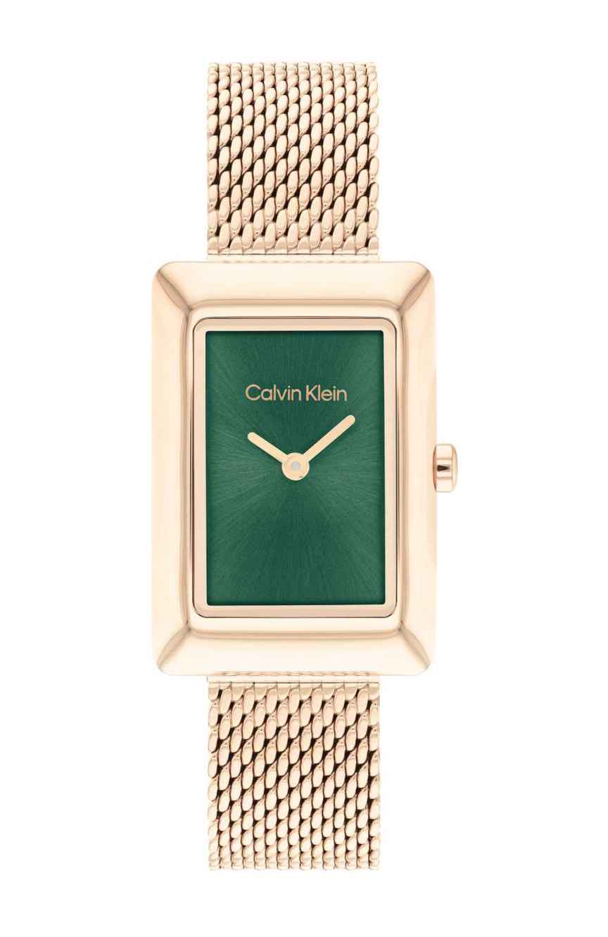 Calvin klein store mesh watch