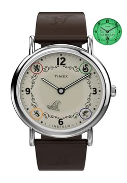 Timex Harry Potter x Weekender Slytherin House 38mm Leather Strap Watch
