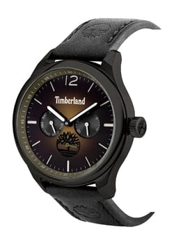 Timberland Men's Quartz Leather