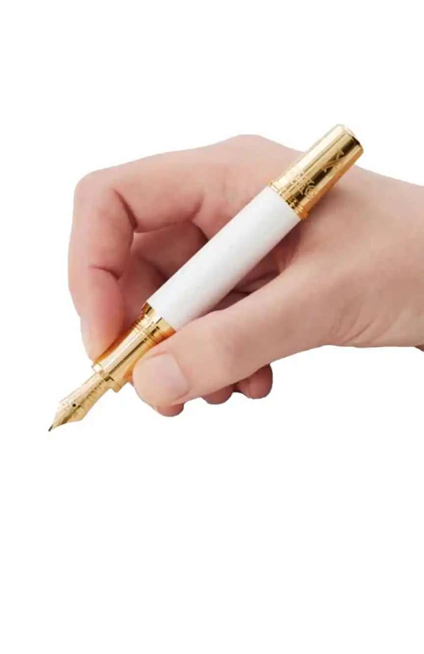 Montblanc Patron Of Art Homage To Albert Limited Edition 4810 Fountain Pen