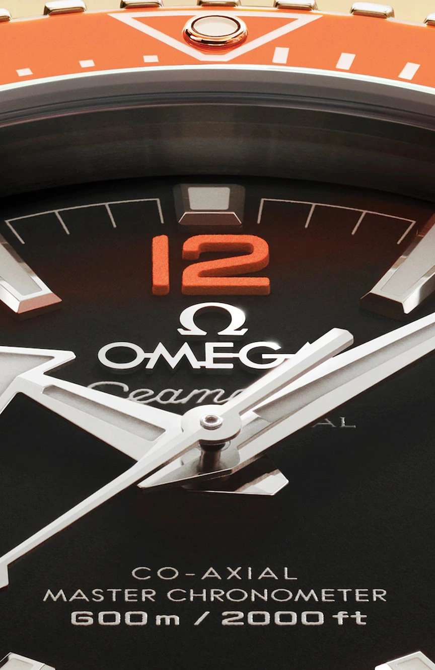 OMEGA Planet Ocean 600M