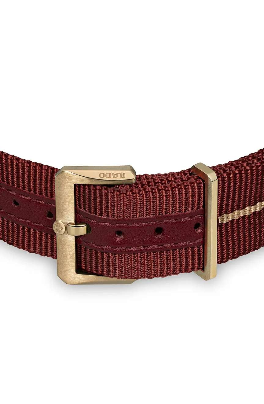 Rado Men's Captain Cook Automatic Bronze