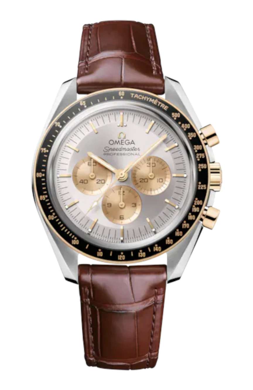 OMEGA Moonwatch Professional