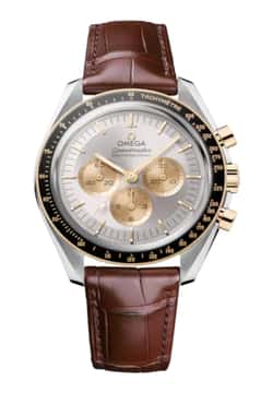 OMEGA Moonwatch Professional