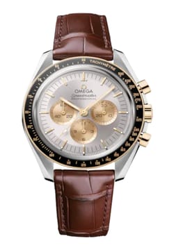 OMEGA Moonwatch Professional