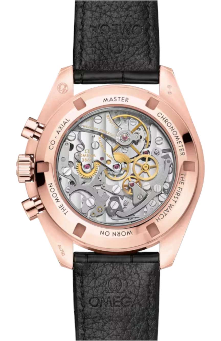 OMEGA Moonwatch Professional