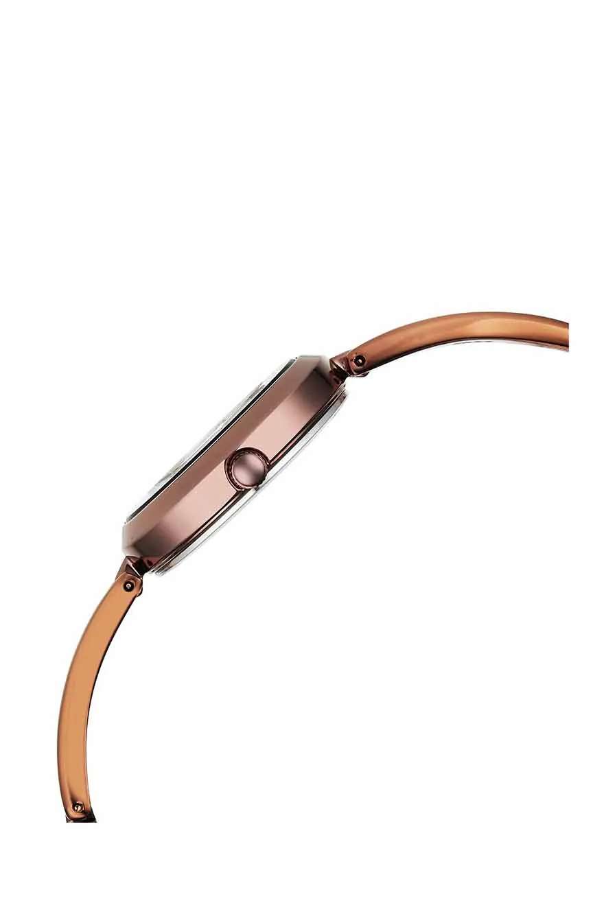 Titan Raga Viva Quartz Analog Brown Dial Brown Metal Strap Watch for Women