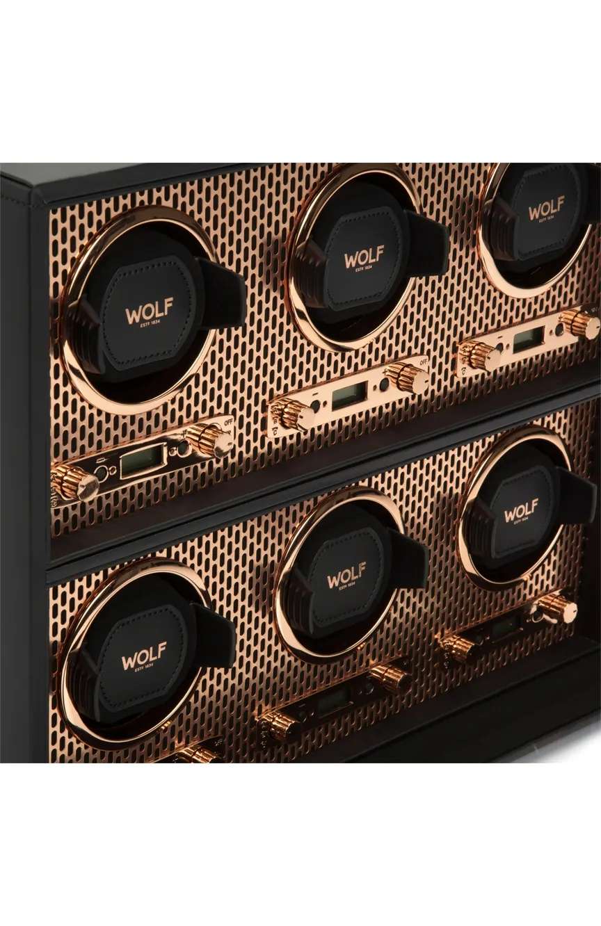 وولف علبة أكسيس لـ 6 ساعات