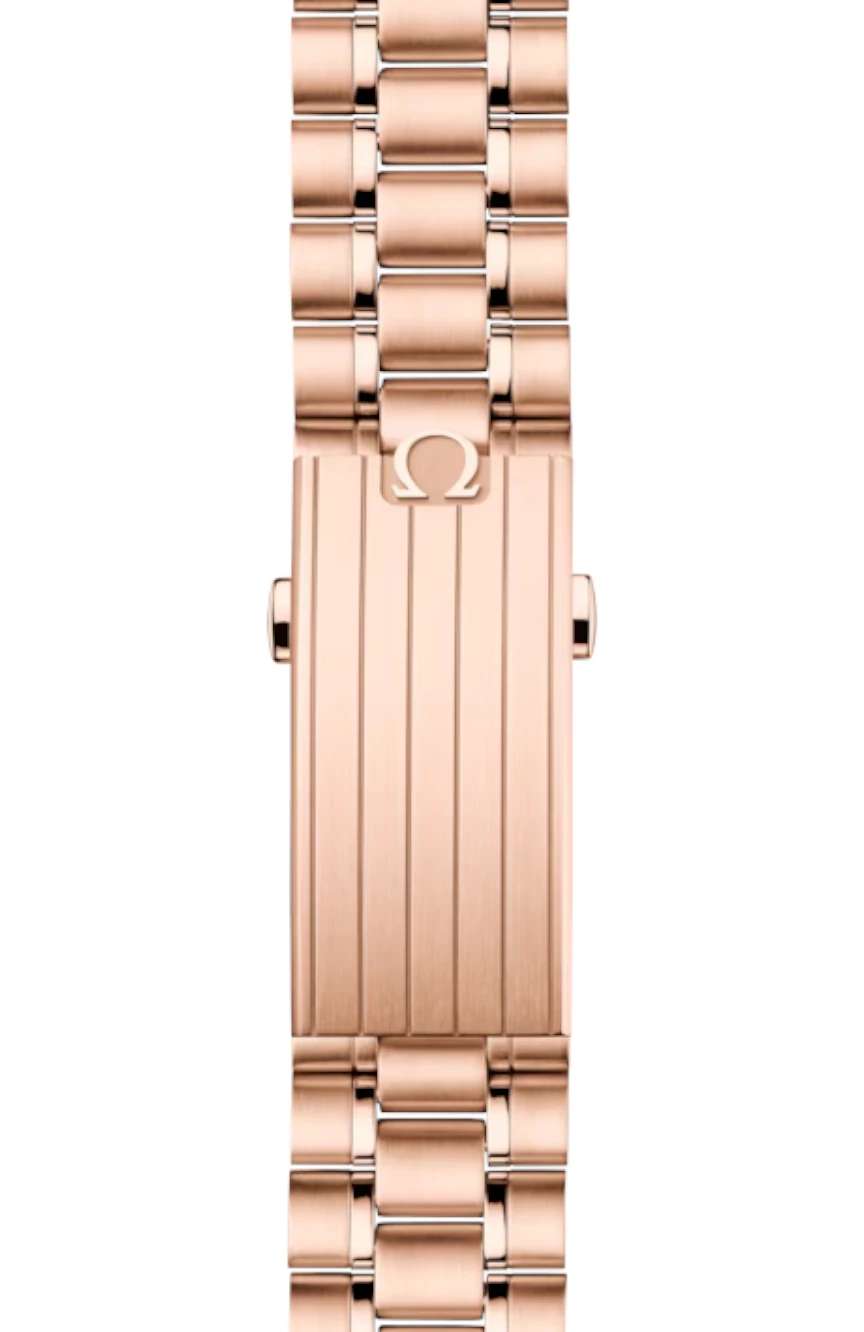 OMEGA Moonwatch Professional