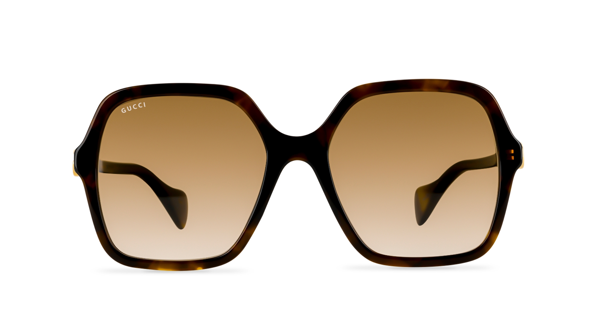 Gucci havana store sunglasses womens