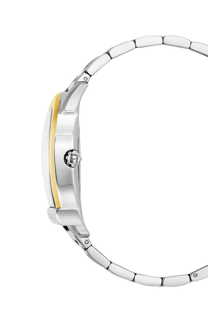 Aigner SIENA