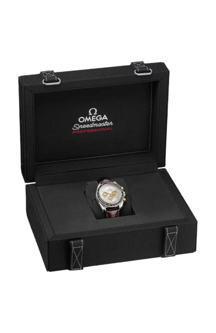 OMEGA Moonwatch Professional