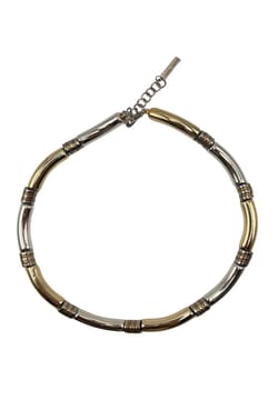 Colette Market Lil tube two tone necklace