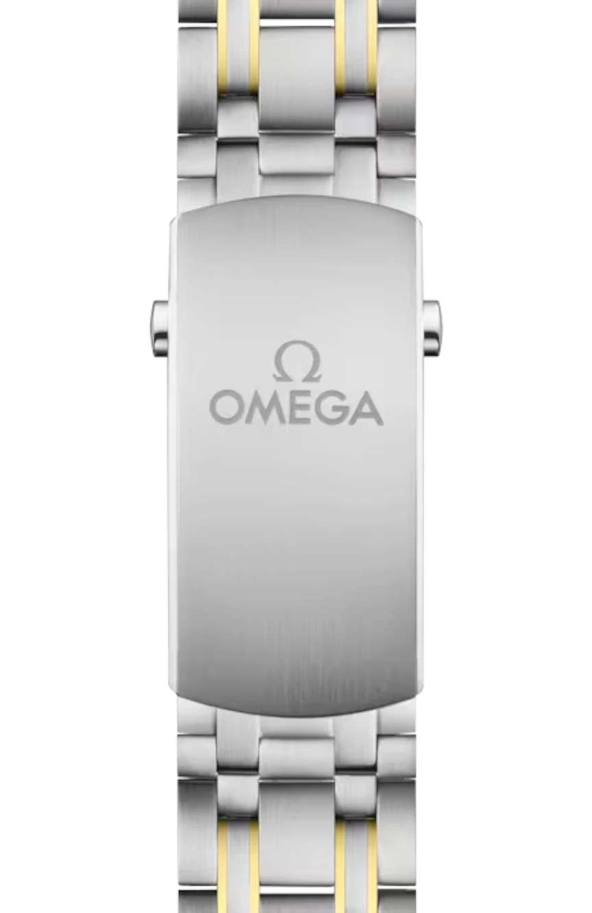 OMEGA Diver 300M