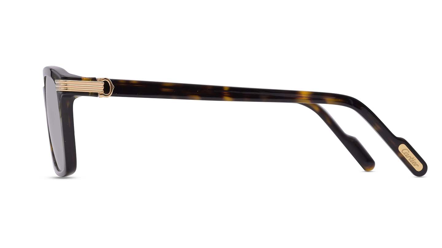 Men Rectangle Havana Sunglass