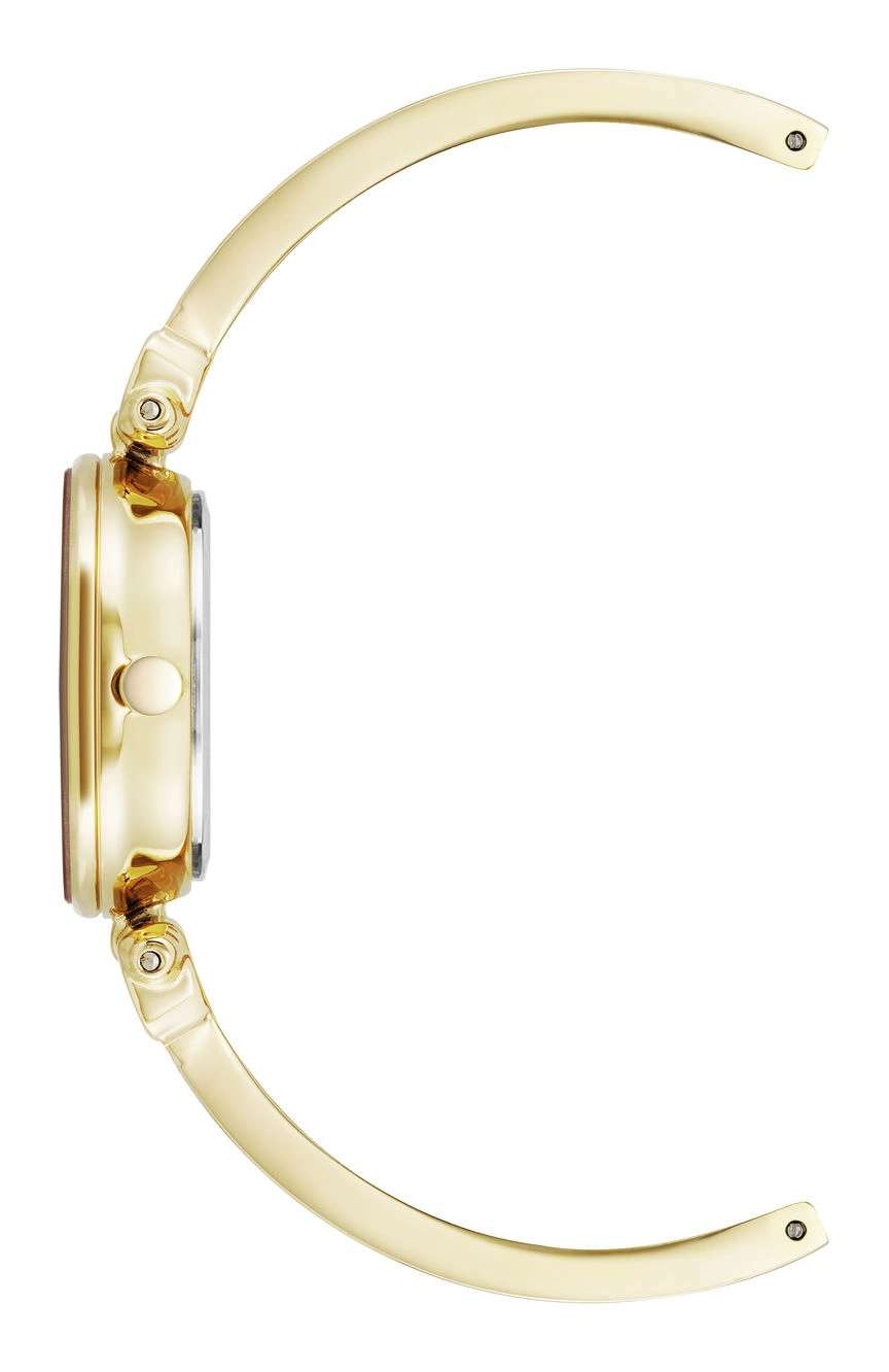Anne Klein Anne Klein Women Analog Enamel Watch
