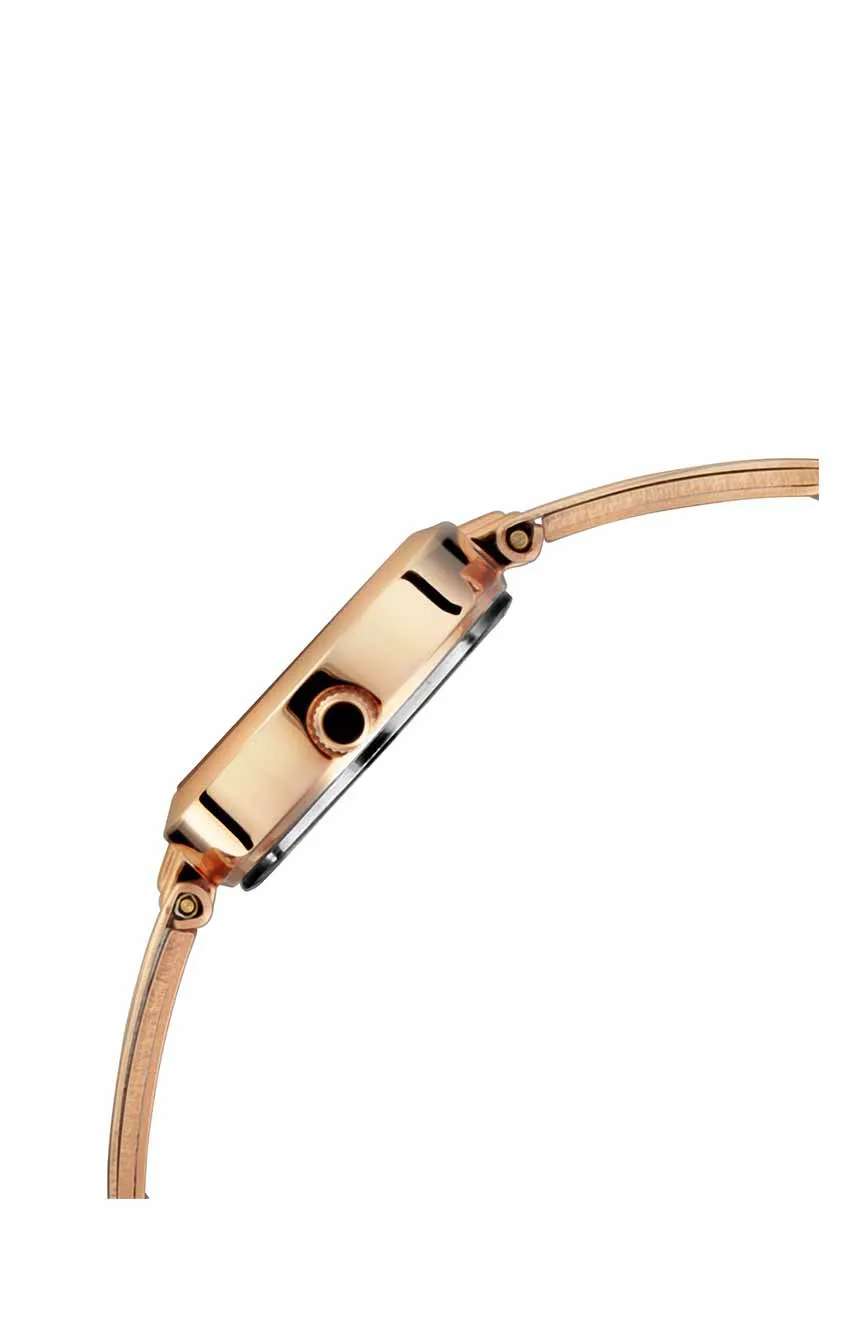 Titan Quartz Analog Silver Dial Metal Strap Watch for Women