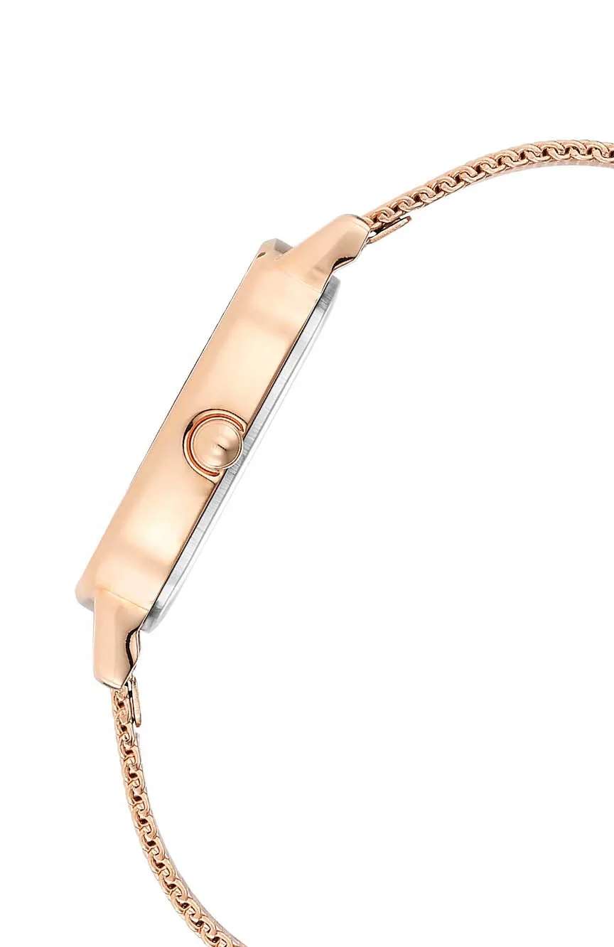 Titan Raga Viva Brown Dial Analog Stainless Steel Strap Watch for Women