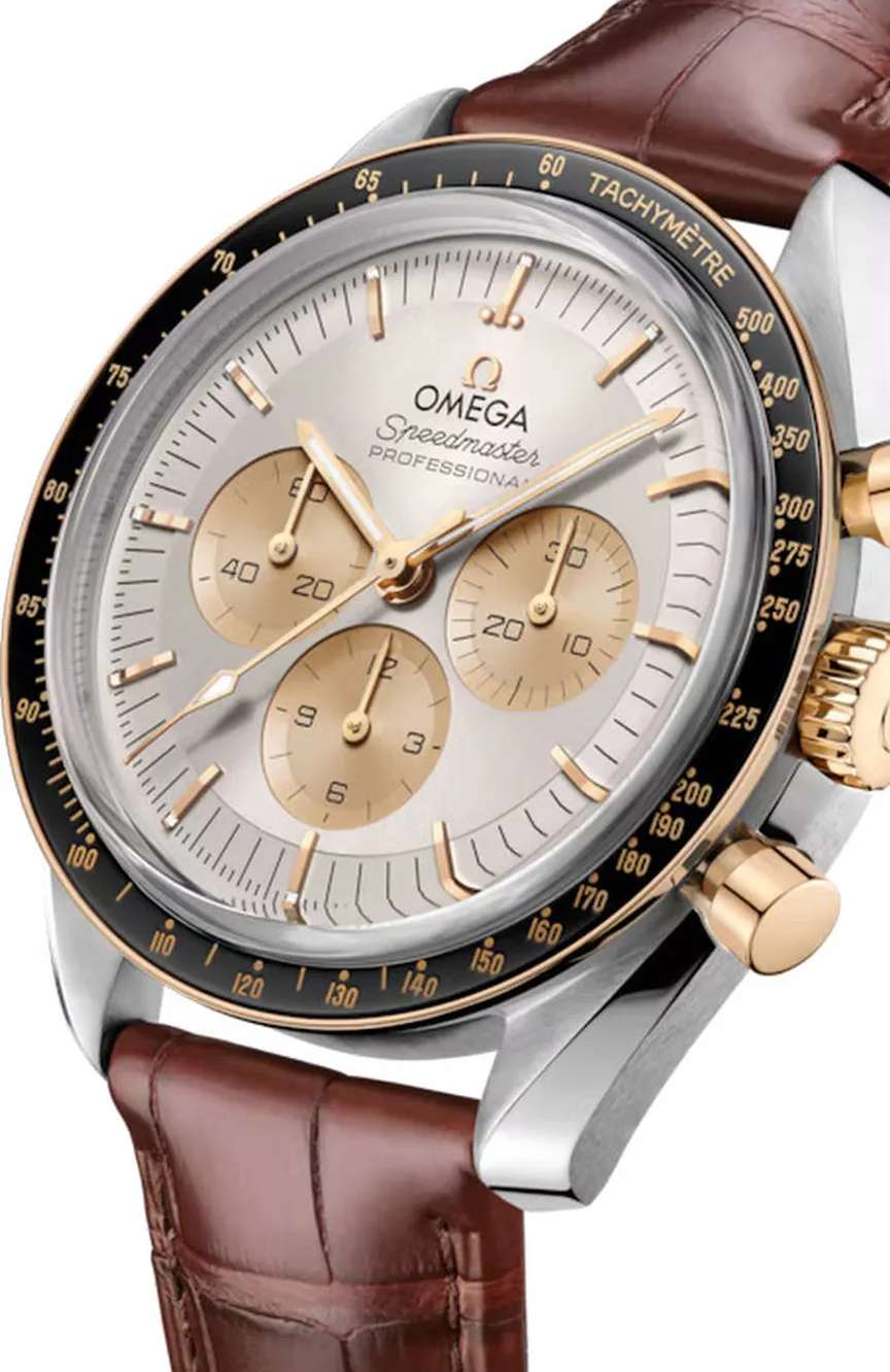 OMEGA Moonwatch Professional
